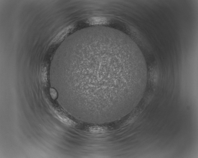 X0000078020549200611031459