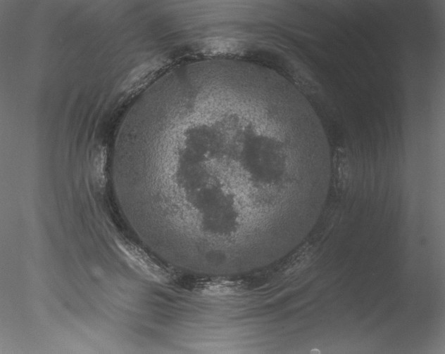 X0000078020550200611031459