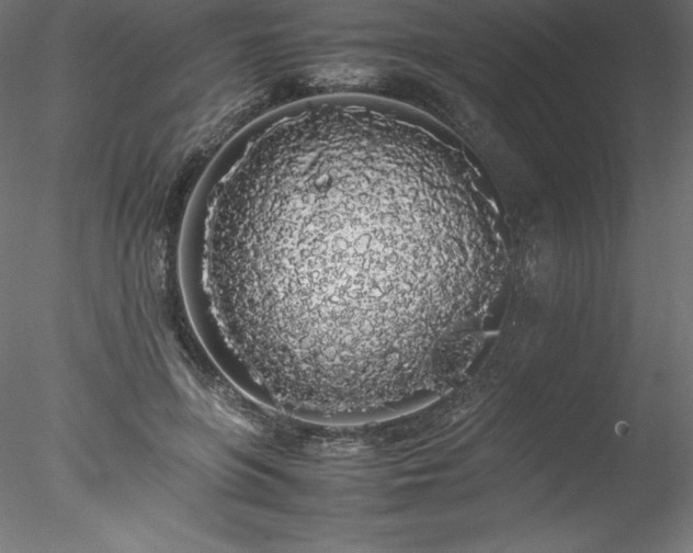 X0000078020551200611031459