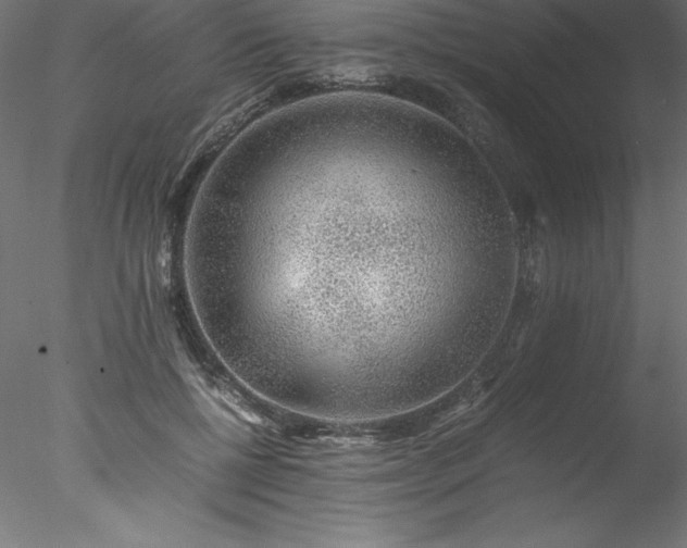 X0000078020552200611031459