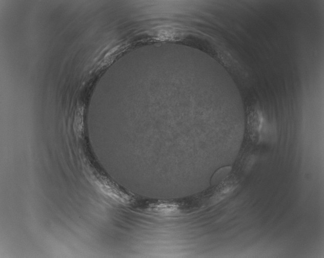 X0000078020554200611031459