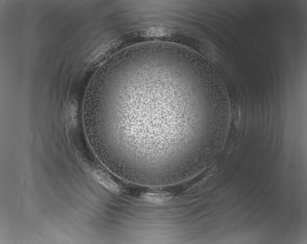 X0000078020556200611031459