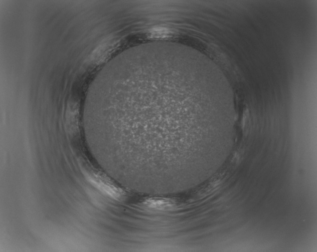 X0000078020557200611031459