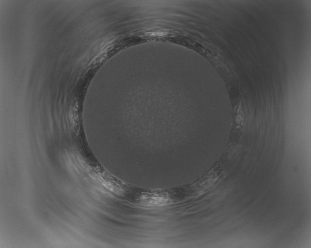 X0000078020559200611031459