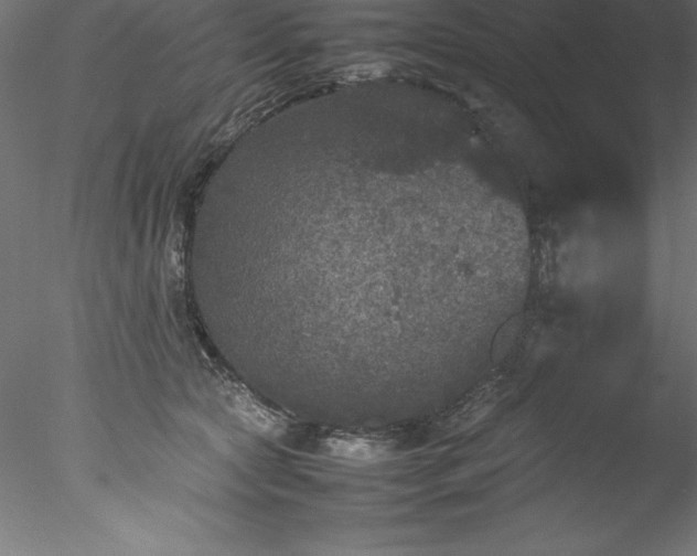 X0000078020561200611031459