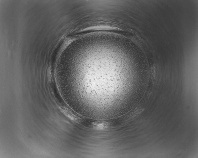 X0000078020564200611031459