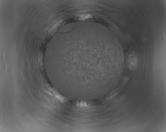 X0000078020565200611031459