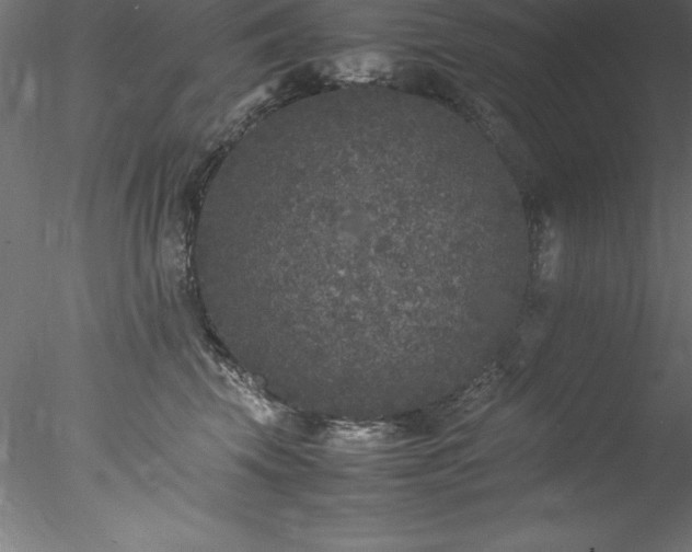 X0000078020569200611031459