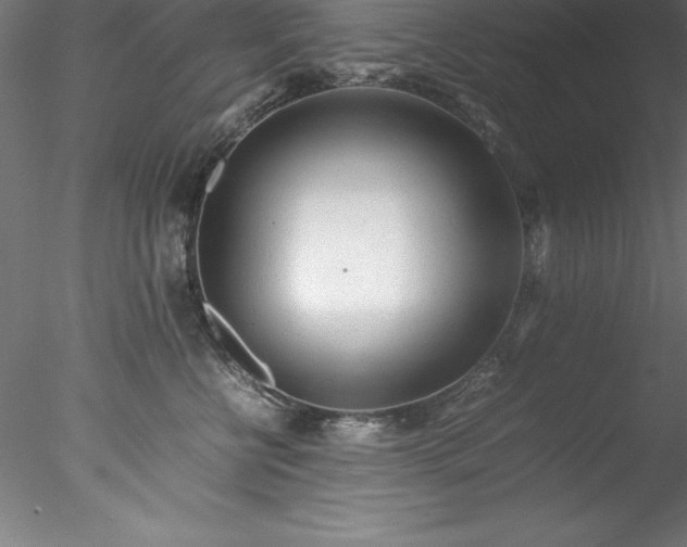 X0000078020570200611031459