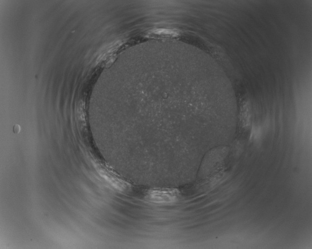 X0000078020571200611031459