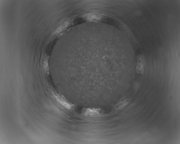 X0000078020573200611031459