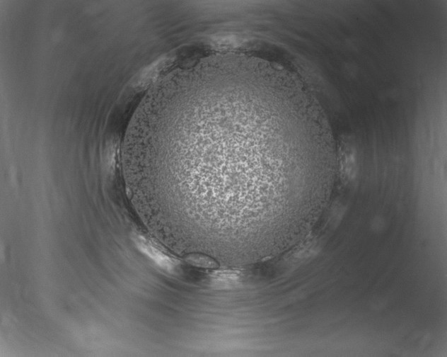 X0000078020574200611031459