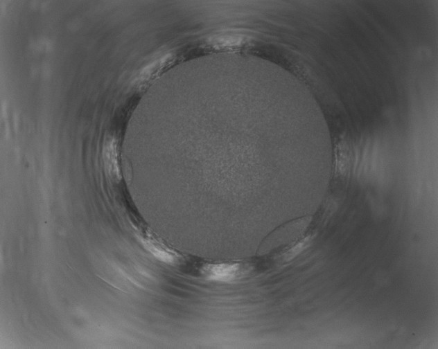 X0000078020575200611031459