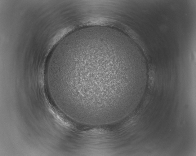 X0000078020578200611031458