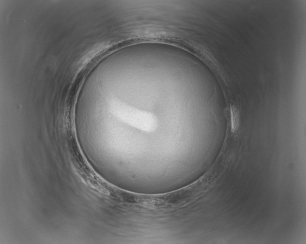 X0000078020579200611031458