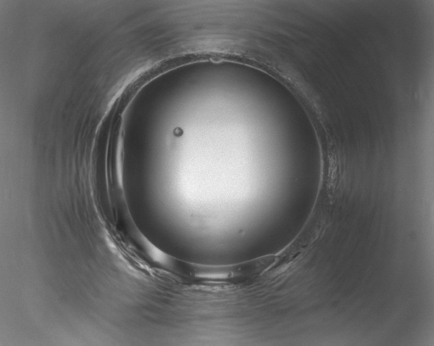 X0000078020580200611031458