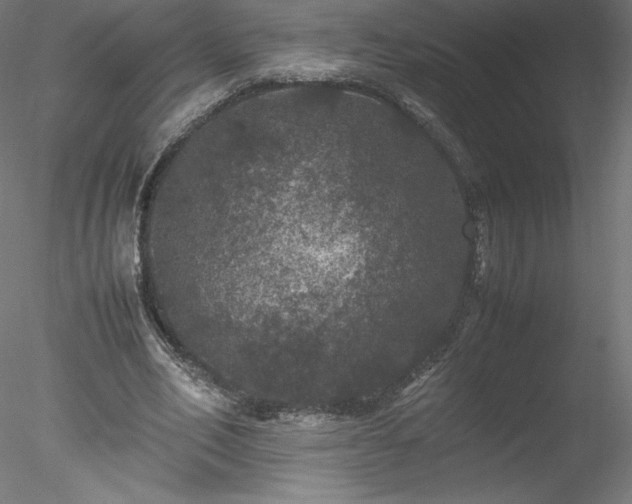 X0000078020582200611031458