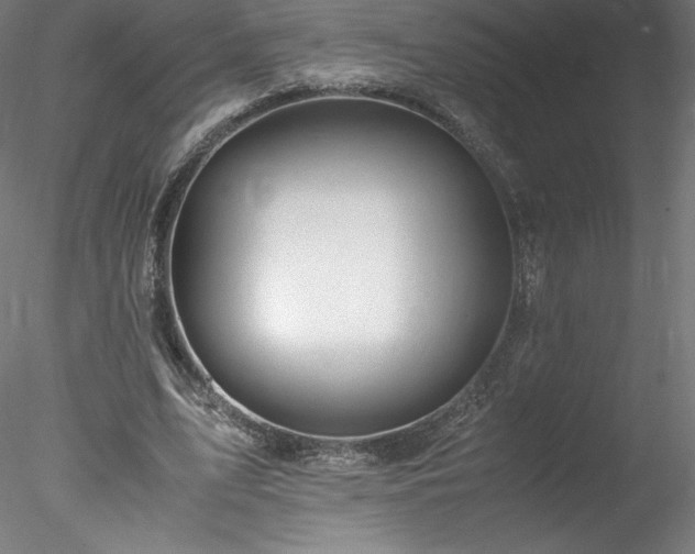 X0000078020583200611031458