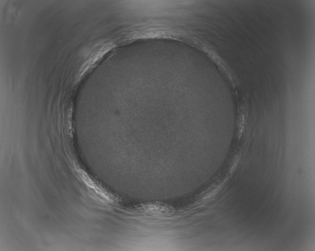 X0000078020585200611031458