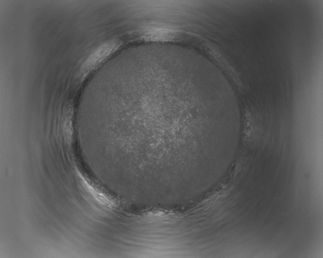 X0000078020586200611031458