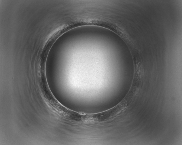 X0000078020587200611031458