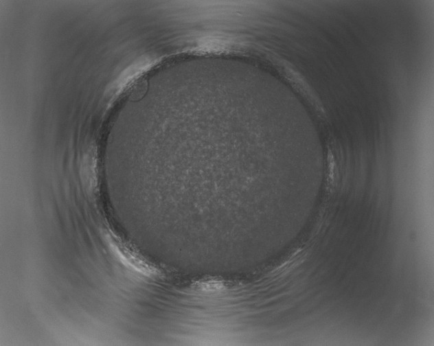 X0000078020588200611031458