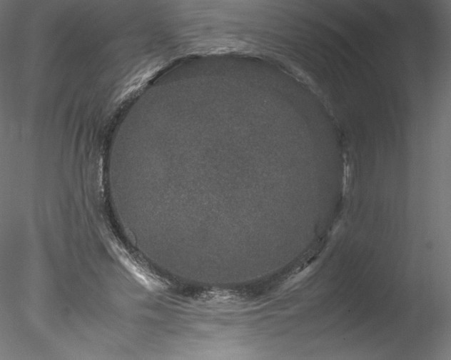 X0000078020589200611031458