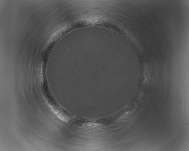 X0000078020590200611031458