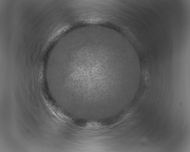 X0000078020591200611031458