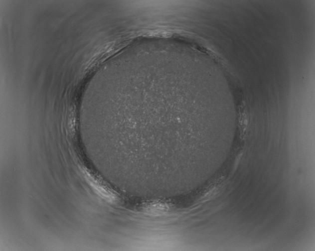 X0000078020593200611031458