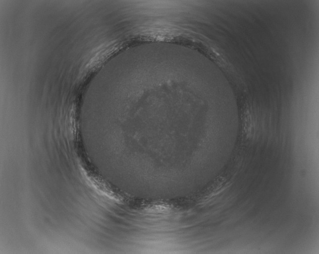 X0000078020594200611031458