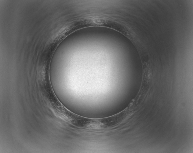 X0000078020595200611031458