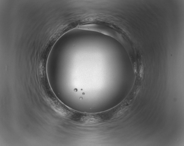 X0000078020597200611031458