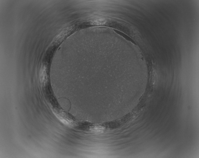 X0000078020598200611031458