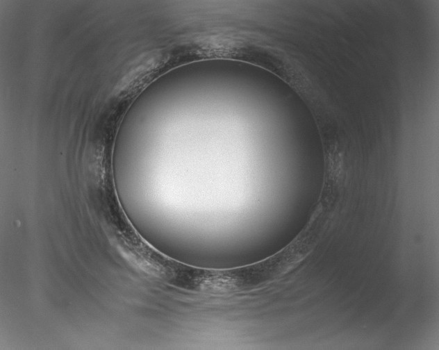 X0000078020599200611031458