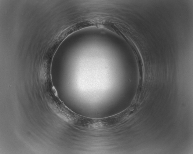 X0000078020600200611031458