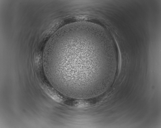 X0000078020601200611031458