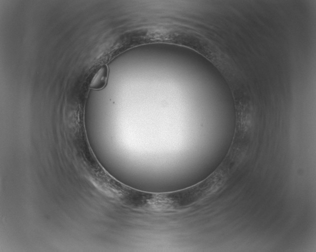 X0000078020603200611031458