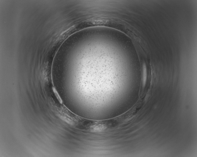 X0000078020604200611031458