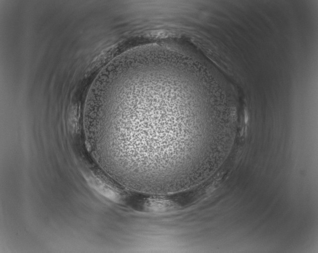 X0000078020605200611031458