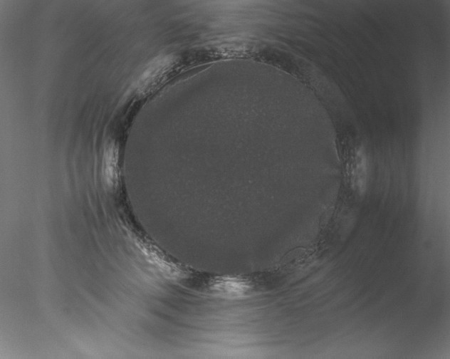 X0000078020610200611031458