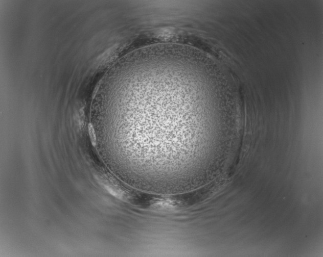 X0000078020611200611031458