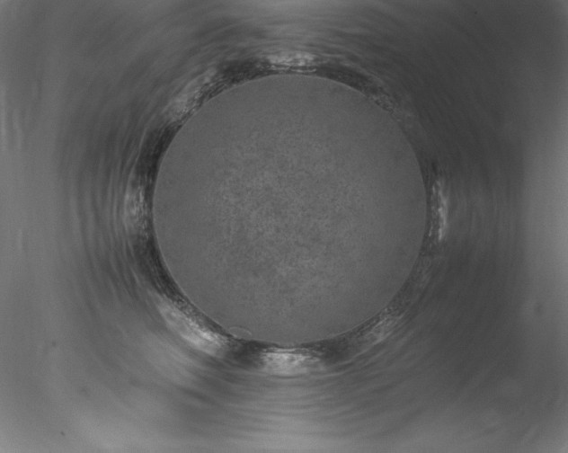 X0000078020614200611031458