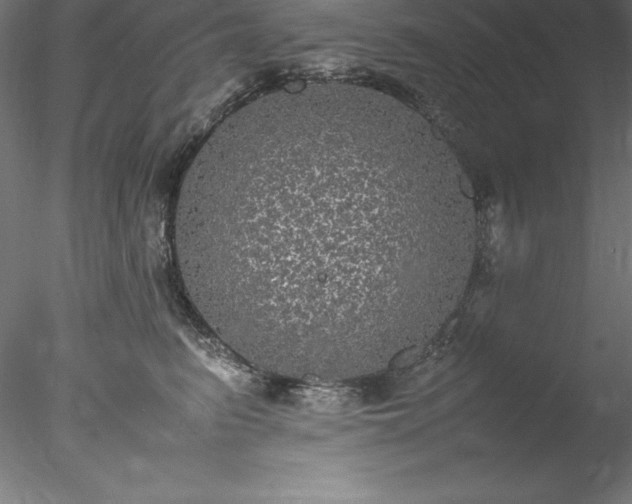 X0000078020615200611031458