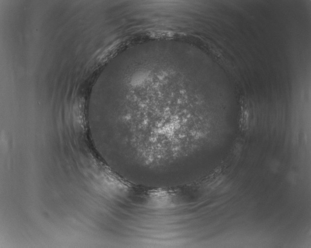 X0000078020616200611031458