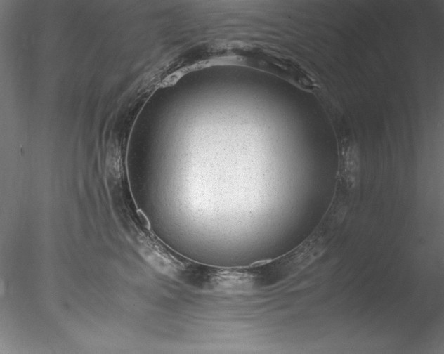 X0000078020617200611031458