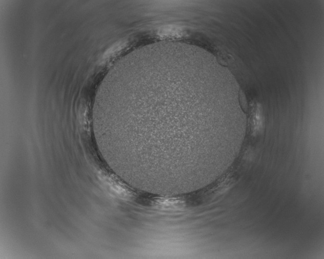 X0000078020619200611031458