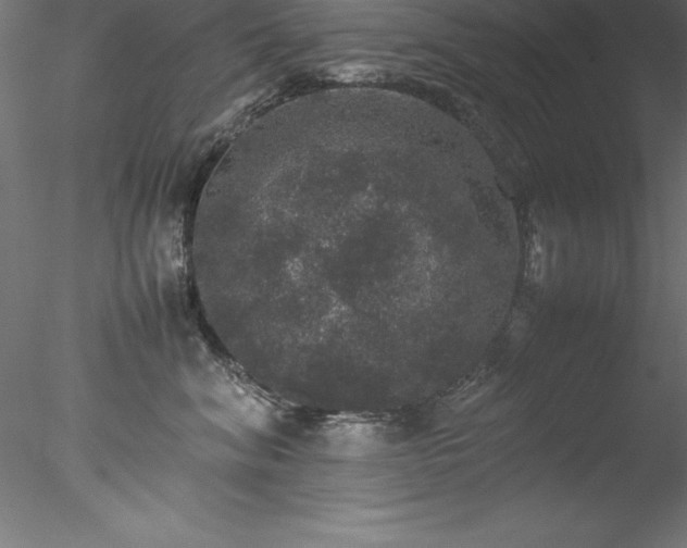 X0000078020620200611031458