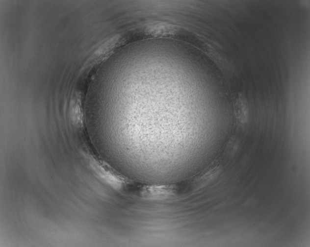 X0000078020622200611031457