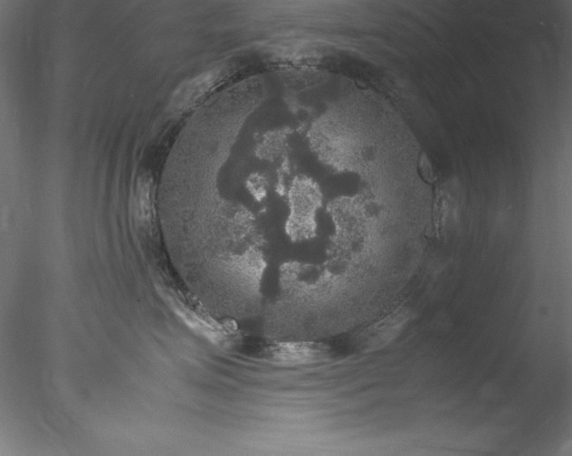 X0000078020623200611031457